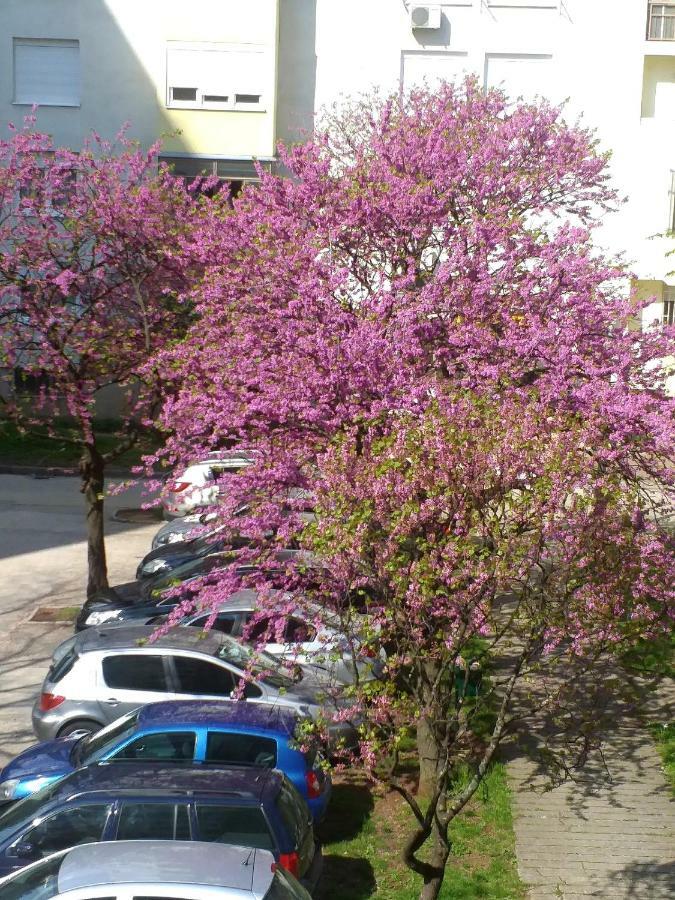 Apartman Simple Mostar Eksteriør bilde